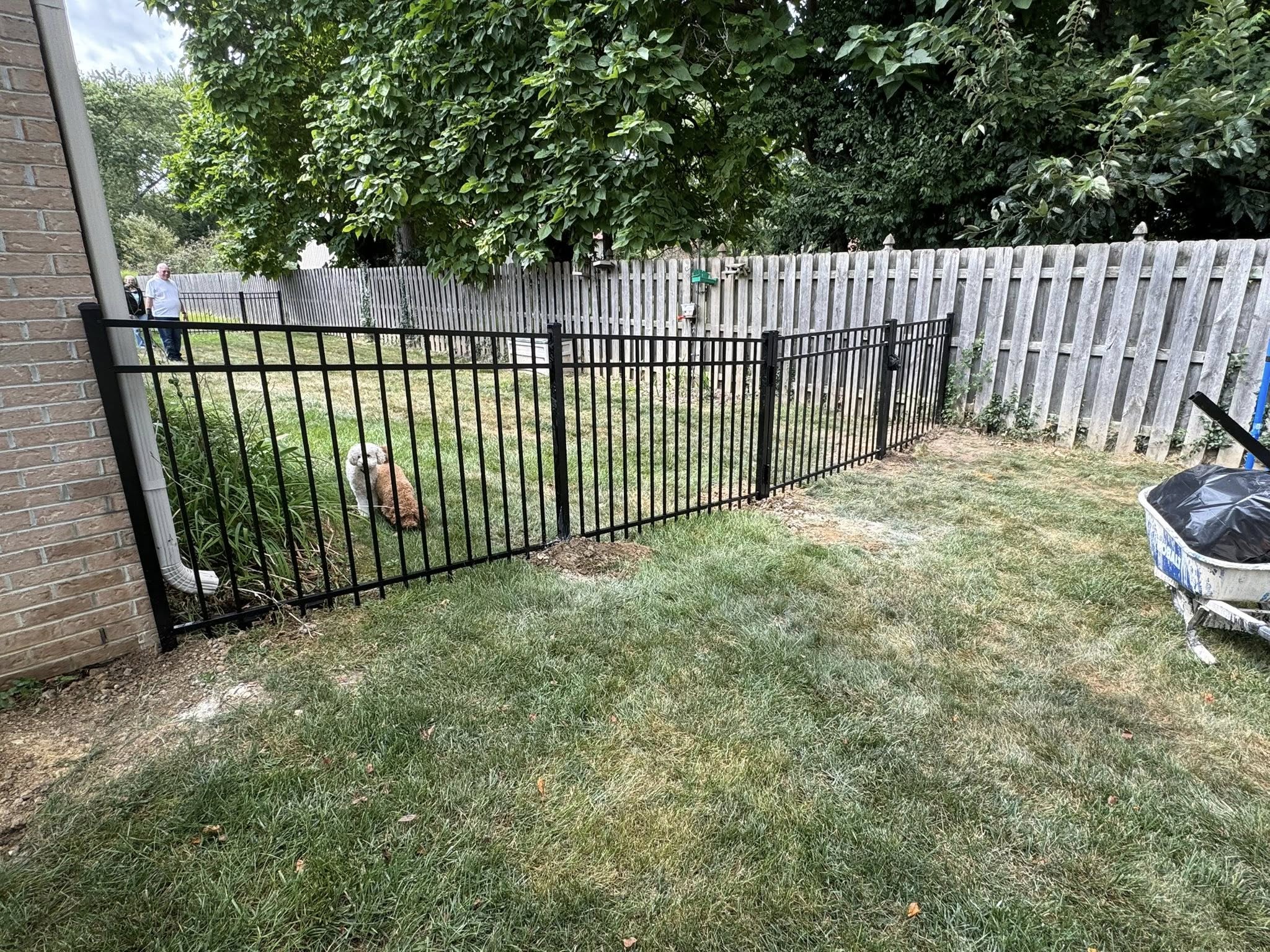 539425661_1346795717453233_1353680692727634561_n